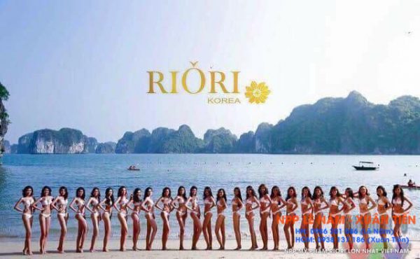 Riori dong tai tro hoa hau bien viet nam toan cau